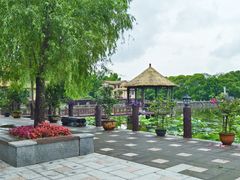 -天赐温泉