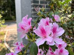 -深圳国际园林花卉博览园