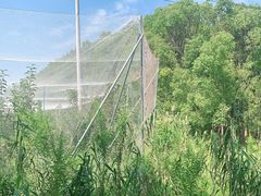 -广富林郊野公园