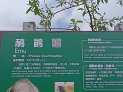 -海南热带野生动植物园