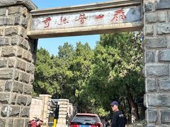 -泰山风景名胜区-普照寺