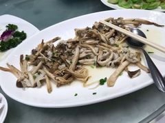 荔枝菌-星湖愉景酒家