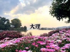-布达拉宫