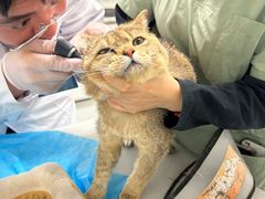 -达爱动物医院·犬猫分区·CT·复杂眼科(远洋山水分院)