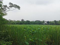 -西溪国家湿地公园