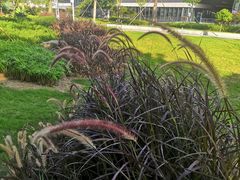 -深圳市人才园(深南大道店)