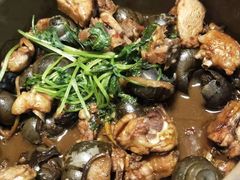 -食爺炭炉鸡煲·烧烤