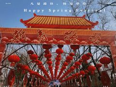 -北京石景山游乐园