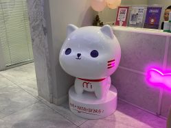 -咪咪专业脱毛连锁机构