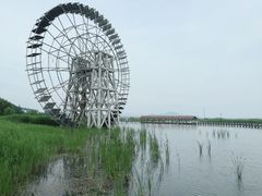 -苏州太湖湖滨国家湿地公园