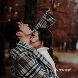 秋意红杉林婚纱照🍂如痴如画，美得动魄惊心！