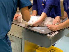 -萌兽医馆·犬猫专科·眼科中心·宠物医院(朝阳门分院)