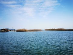 -太湖湖滨国家湿地公园-停车场