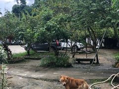 -香竹农庄•传统竹筒饭(十年店)