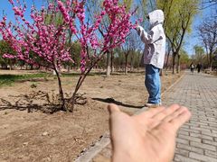 -绿堤公园