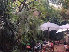 -Fern Forest Cafe