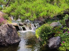 -罗红摄影艺术馆