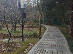 景点-香雪海