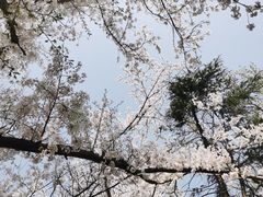 -头陀岭景区