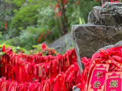 -泰山风景名胜区