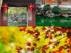 -秋霞圃