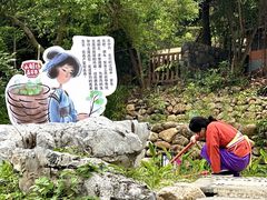-广西壮族自治区药用植物园
