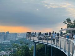 -板樟山森林公园