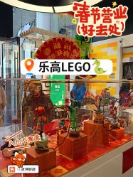 -乐高品牌旗舰店(人民广场店)