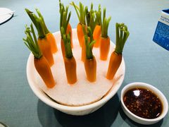 -宝燕壹号(长寿店)