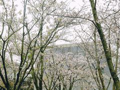 -龙美术馆(西岸馆)
