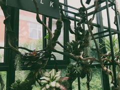 -北马山庄植趣咖啡