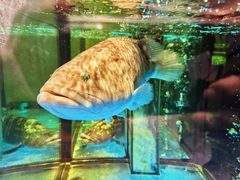-稻香海鲜饭店(第一国际店)