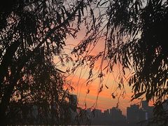 -艾溪湖湿地公园
