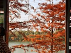 -昆山城市生态森林公园