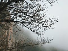 -泰山风景名胜区