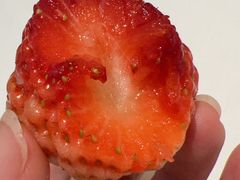 -京彩臻品火锅