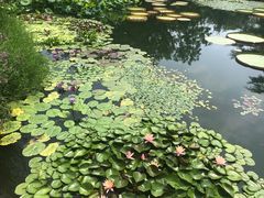 -国家植物园南园