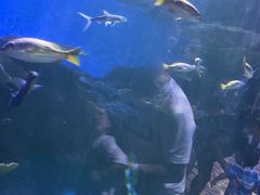 -华夏文旅海洋公园