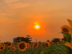 -百品聚旋转火锅(号外店)