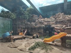 -石家庄市动物园