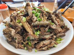 -迈臣农家乐