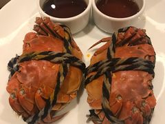 -嘉定凯悦·咖啡厅