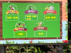 -广州长隆飞鸟乐园
