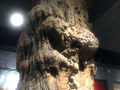 -乐山乌木文化博览苑