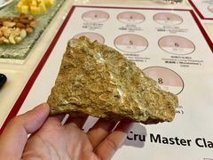 从夏布利带回来-富隆酒窖(天河北店)