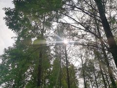 -成都南湖公园