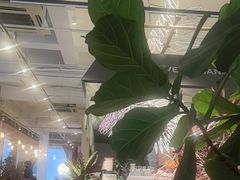 -荷恬·精致蔬食料理(星海店)