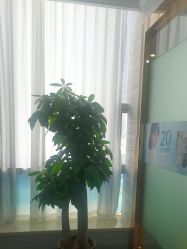 -武汉五洲整形外科医院