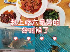 -品鲜村农家菜·阳澄湖大闸蟹(总店)