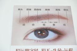 -臣丽纹眉品牌连锁